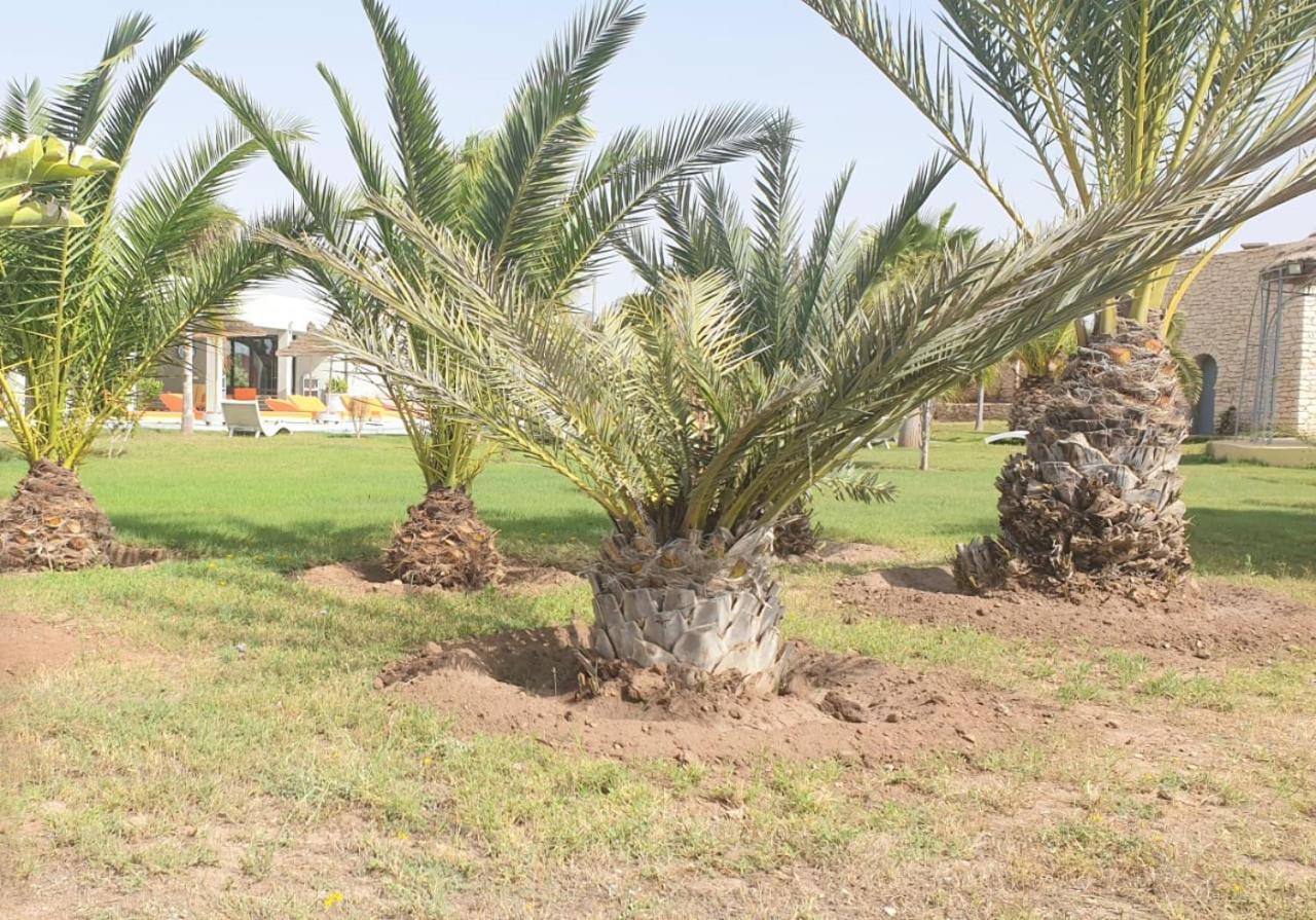 Villa Noraya الصويرة المظهر الخارجي الصورة