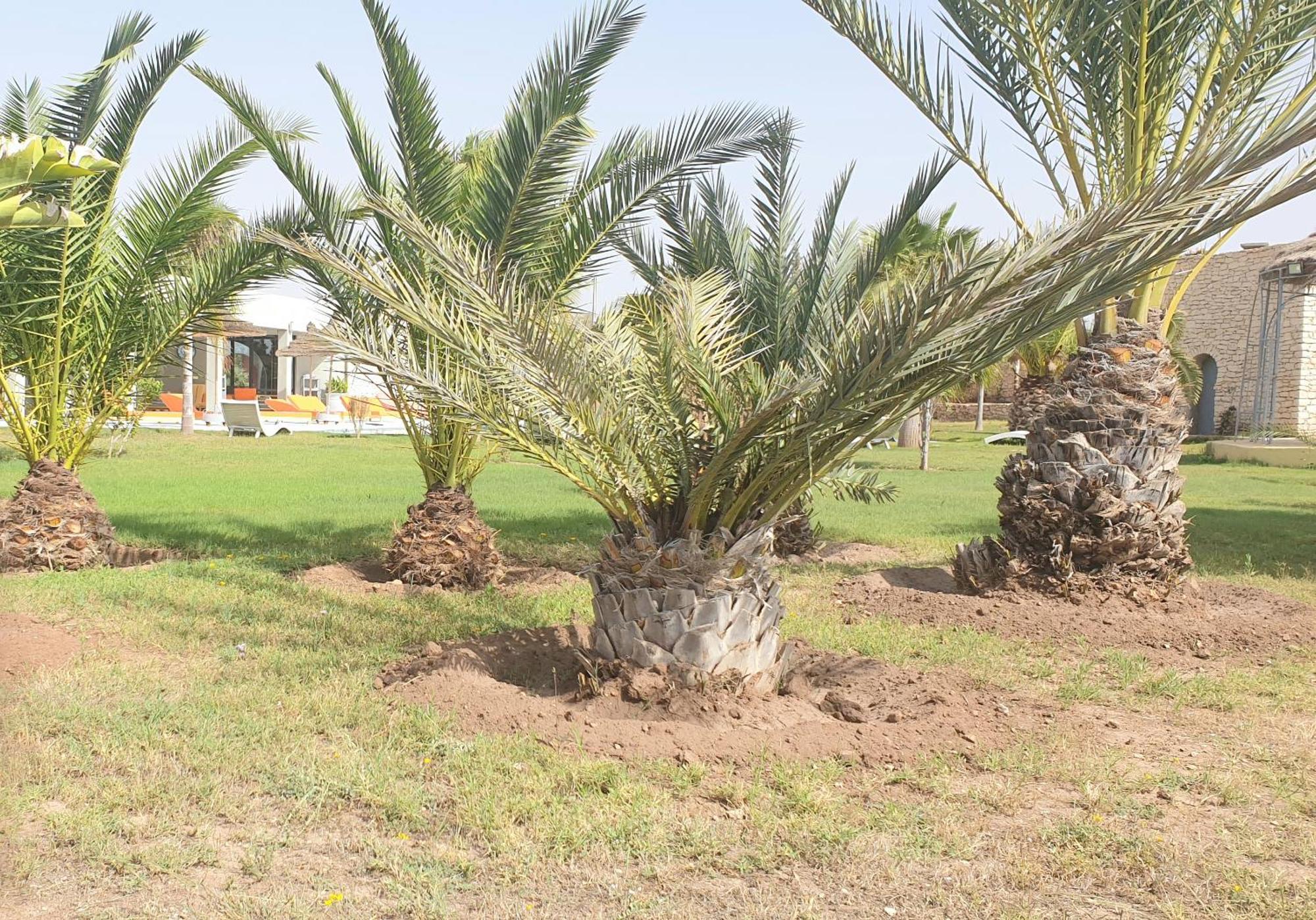 Villa Noraya الصويرة المظهر الخارجي الصورة